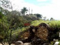/album/galeria-de-fotos-fotos/seplucro%20e%20crucifica%c3%a7%c3%a3o-jpg/